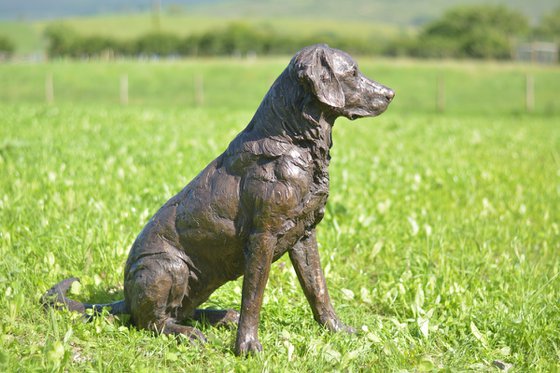 Golden Retriever Bronze Resin