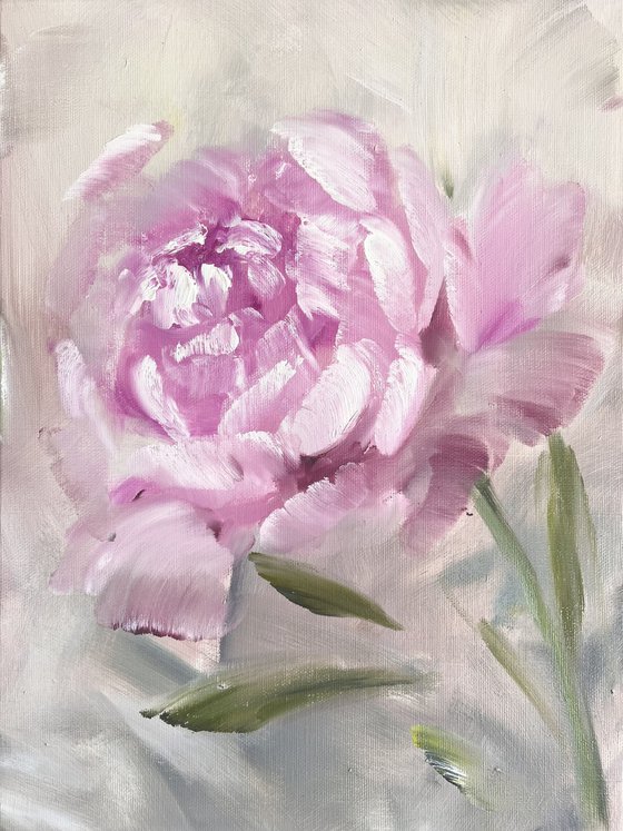 Pink flower in a frame