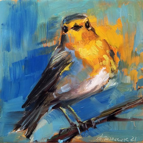 Robin Bird 1