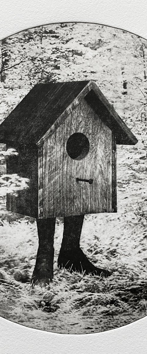 Birdbox II by Jaco Putker