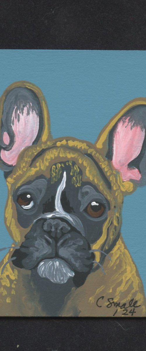 Brindle French Bulldog by Carla Smale