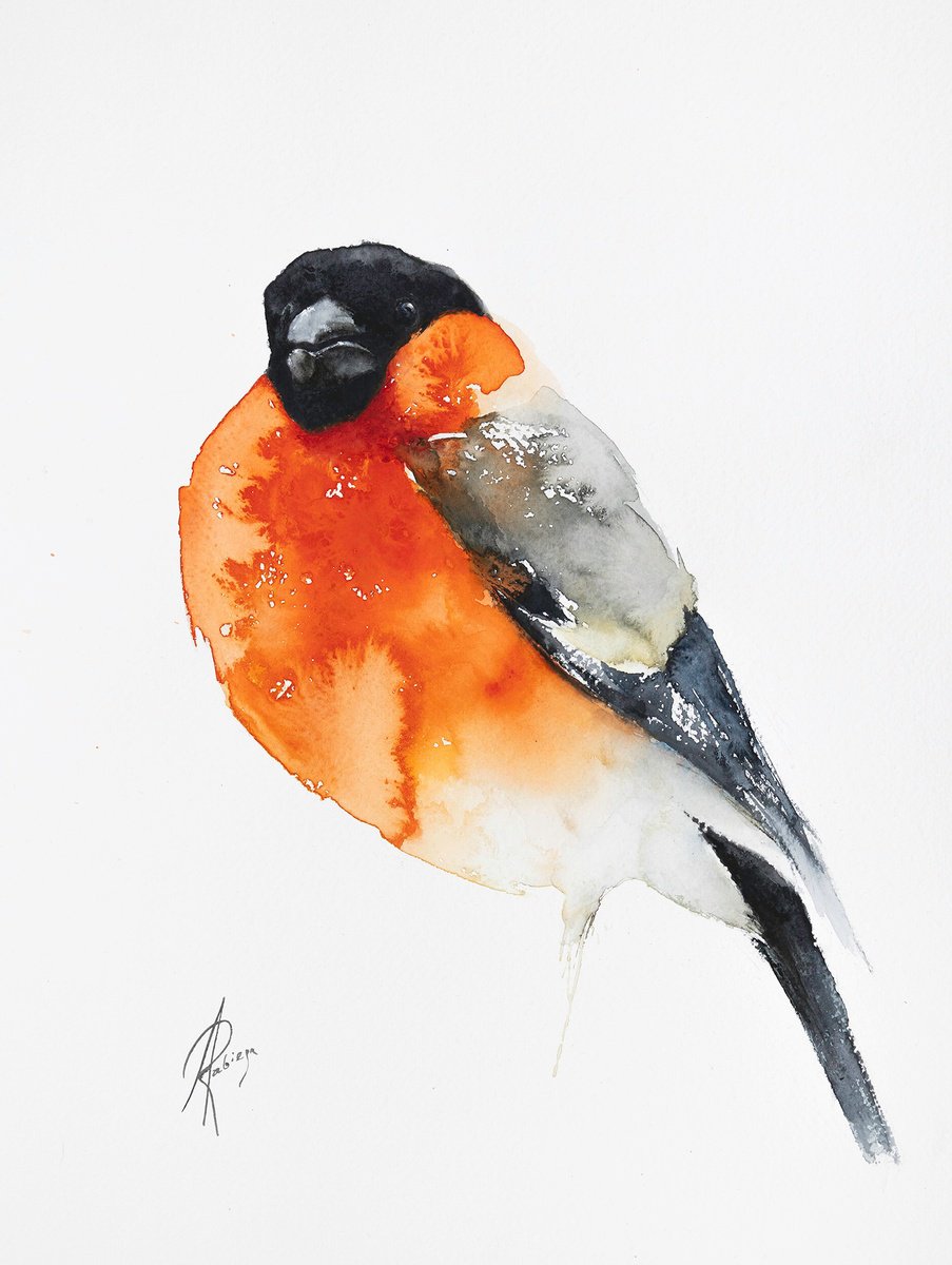 Animal Watercolour By Andrzej Rabiega, 12 X 16, Bullfinch On White, Original Artwork