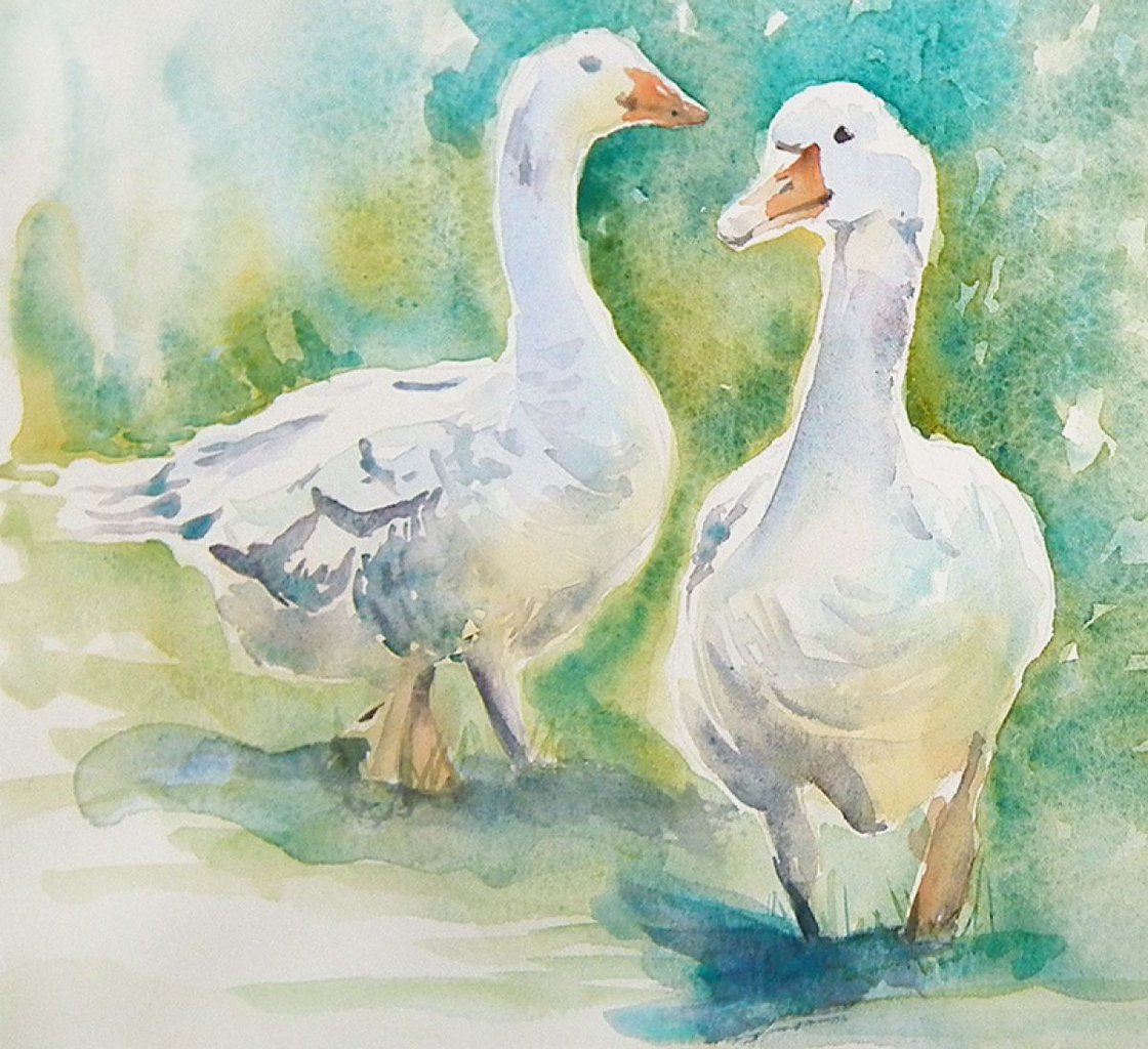 Three Geese Watercolour By Ruth Harris | Artfinder