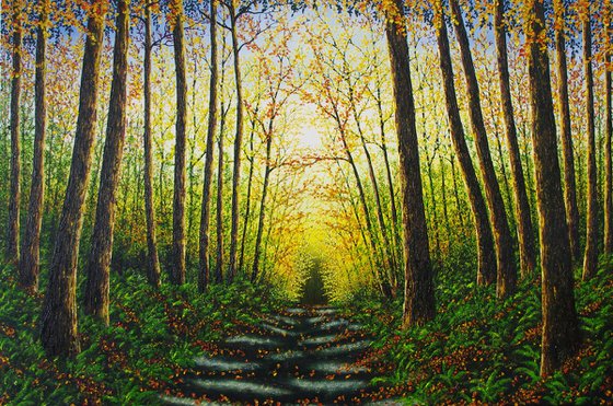 Forest Glow