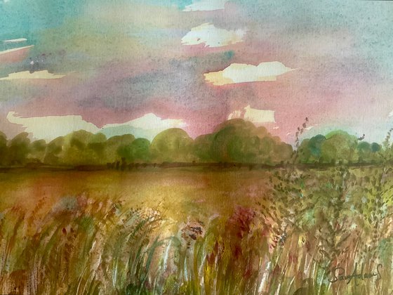 Grassy meadow, Bourton, Dorset