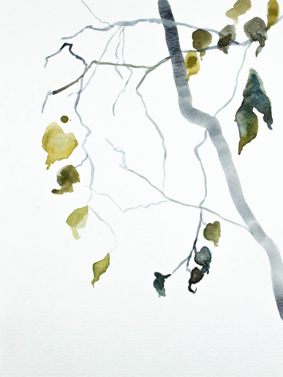 Branch Study No. 16