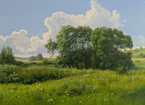A relaxing summer day