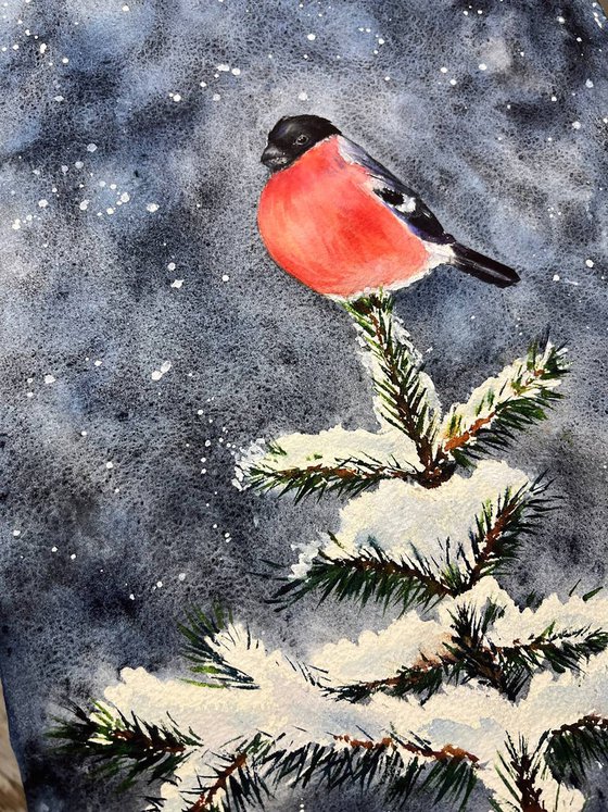 Winter Bullfinch on a Snowy Fir