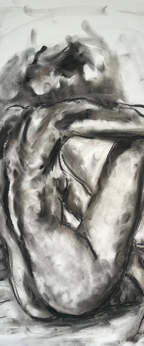 Wonder by James Shipton