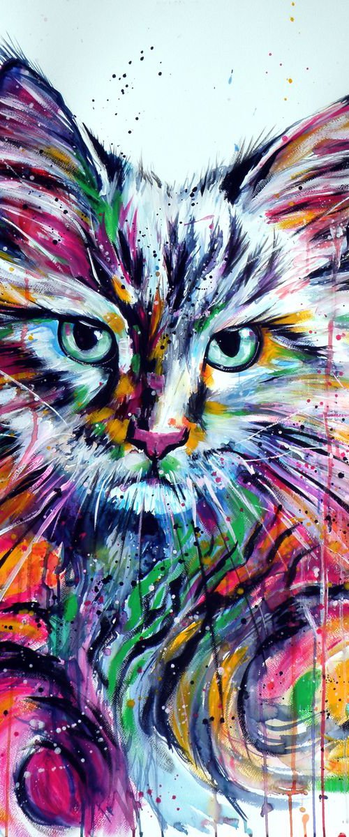 Colorful cat by Kovács Anna Brigitta
