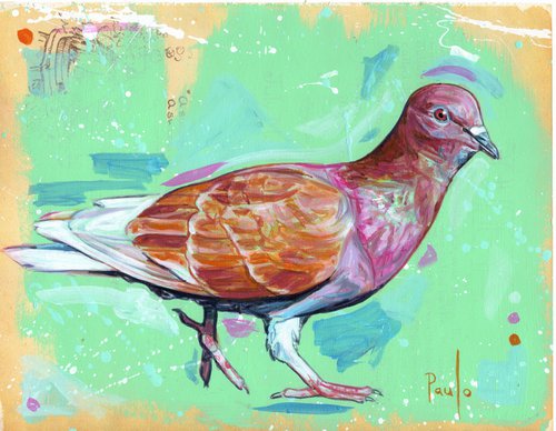 Pigeon by Paul Ward