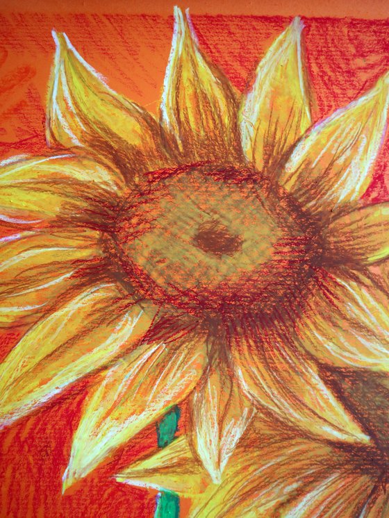 Two Sunflowers