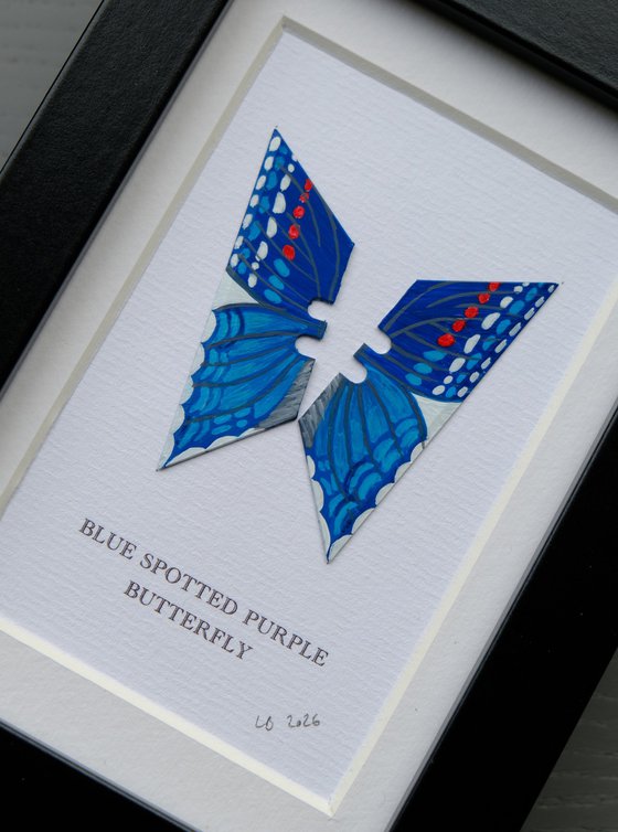 Blue-spotted Purple Butterfly