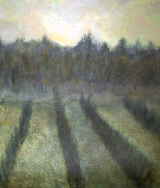 Landscape in the fog