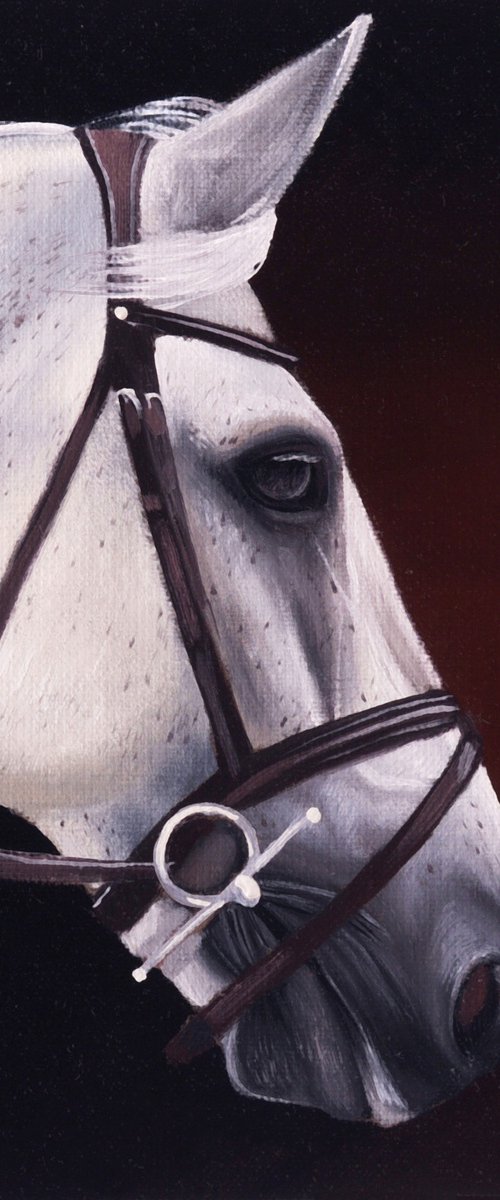 Horse Portrait 95 by Anastasia Parfilo