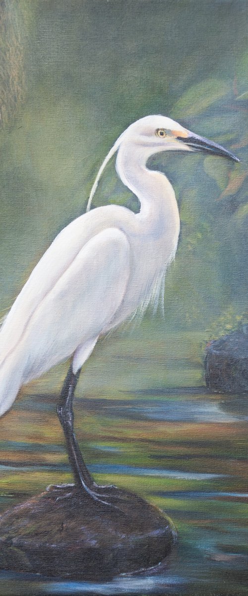 White Heron by Norma Beatriz Zaro