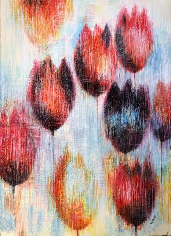 Multicolored Tulips 1