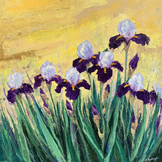 Irises at Sunrise A2,A1,A3   80x140cm