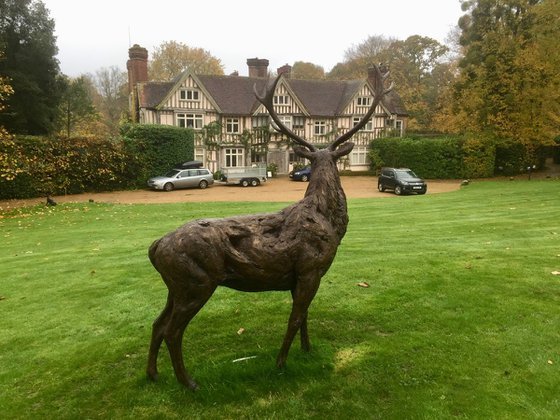 Standing Red Deer Stag - Bronze Resin