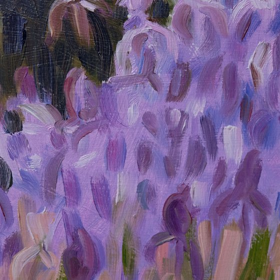 Irises 2.