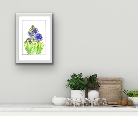 Hyacinth flowers mixed media illustration