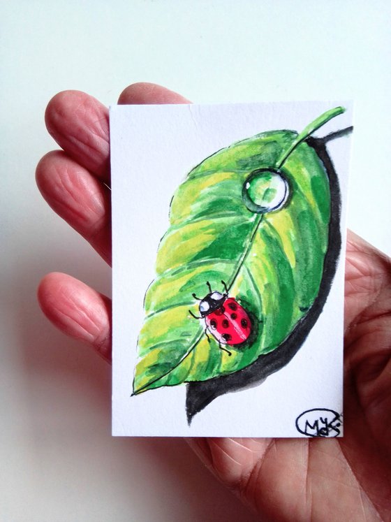 Ladybird on a green leaf