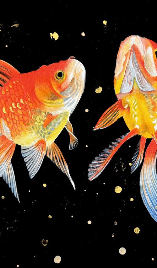 Goldfish by Ioanna Ladopoulou