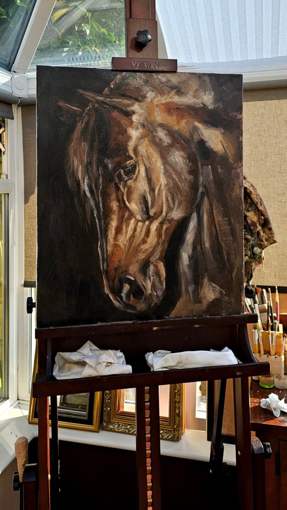 Stallion-Original Horse Portrait