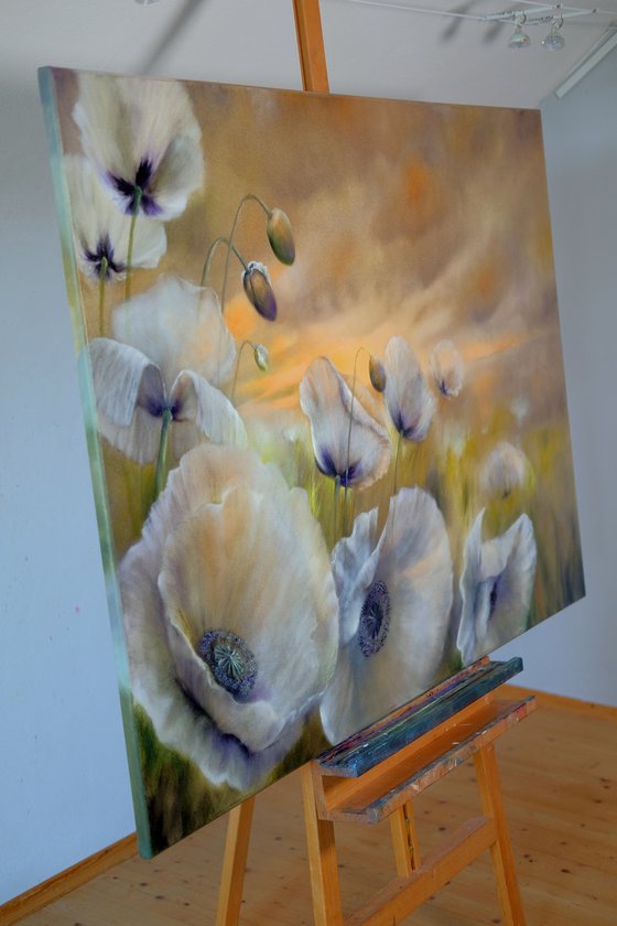White poppies