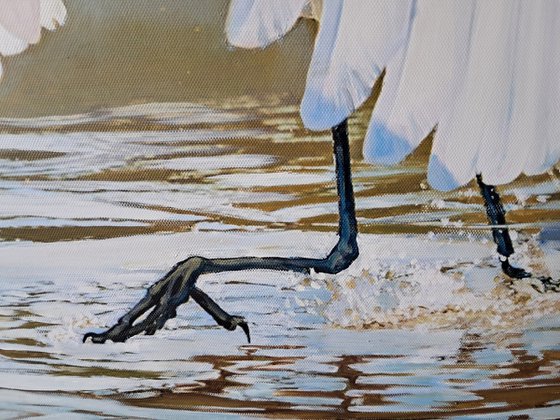 A MATING DANCE OF HERONS