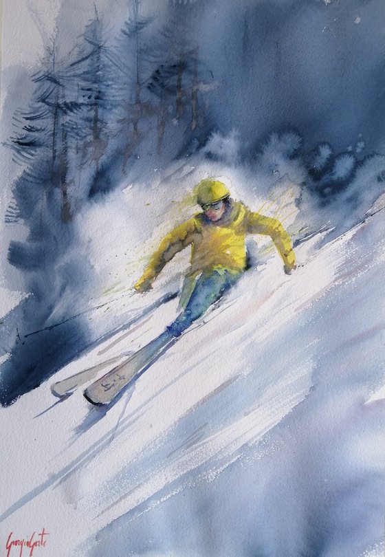 the skier 11