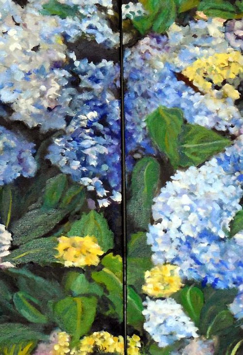 Hydrangeas by Aida Markiw