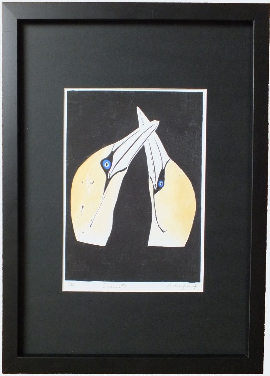 Gannets by Billie Josef