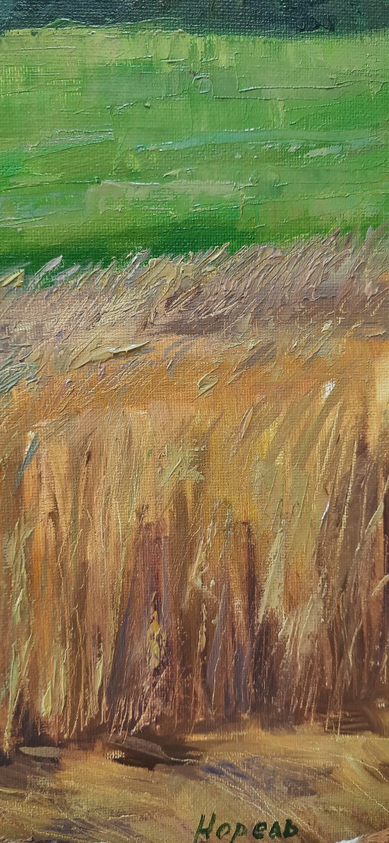 Wheat field - Original  oil painting (2021)