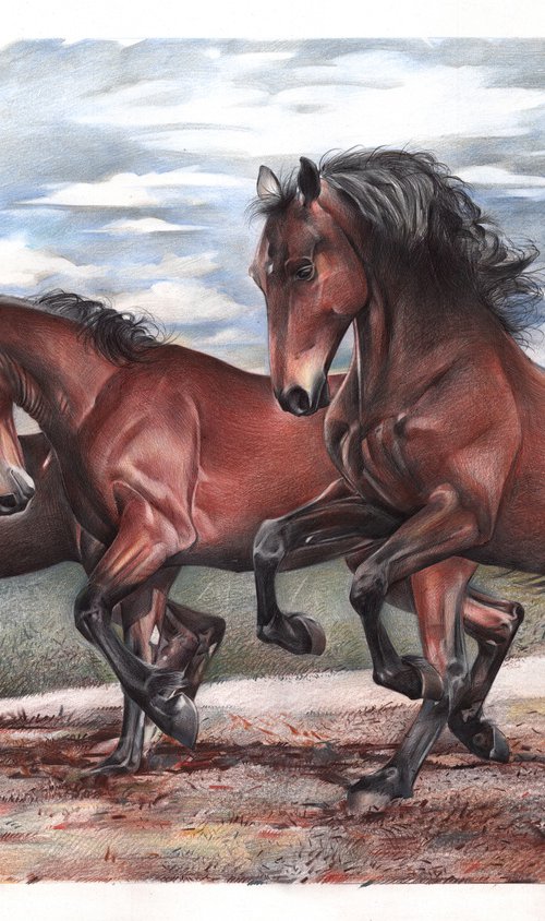 Running Horses by Daria Maier