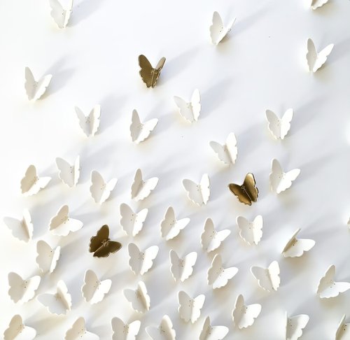 Flutter by Elizabeth Prince