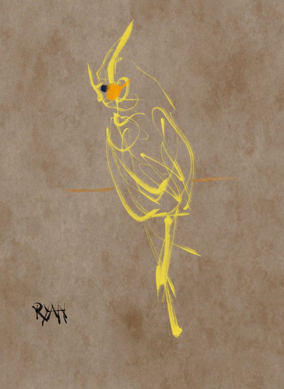 The Yellow Cockatiel