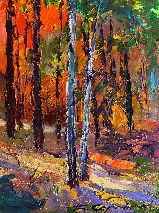 Autumn in the Forest