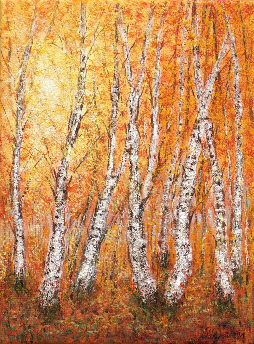 Impressionistic Landscape Oil Painting By Ludmilla Ukrow, 12 X 16", Birch Forest, Original Artwork