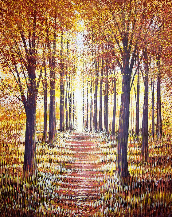 Light Through Autumn Trees