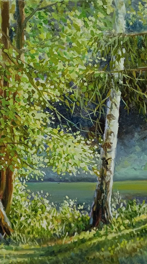 In the silence of the forest by Valentinas Yla