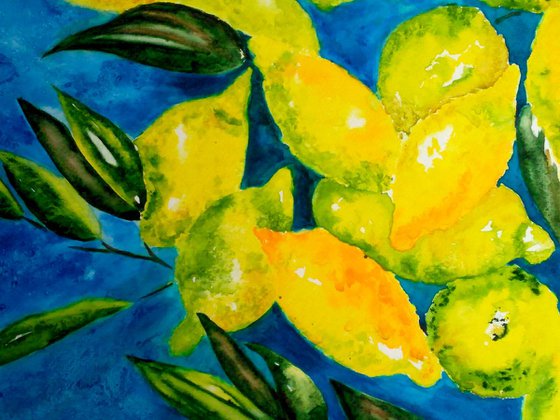 "Lemons "50*36cm\20*14"\watercolor lemons on branch\watercolor blue and yellow