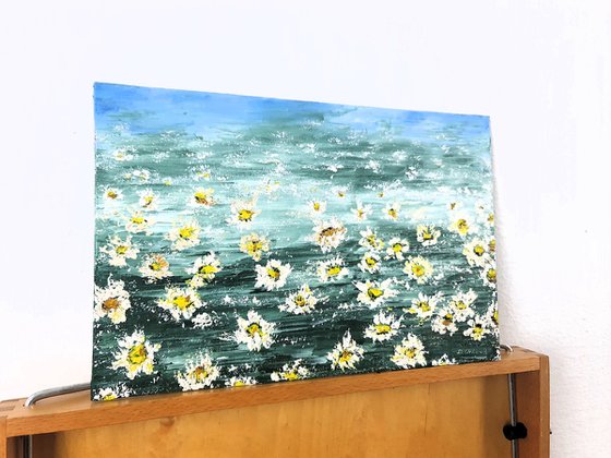 Daisies 1