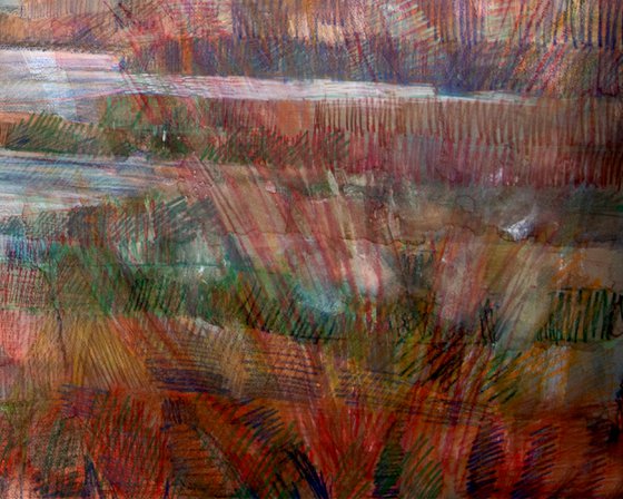Watershed: Sphagnum Country