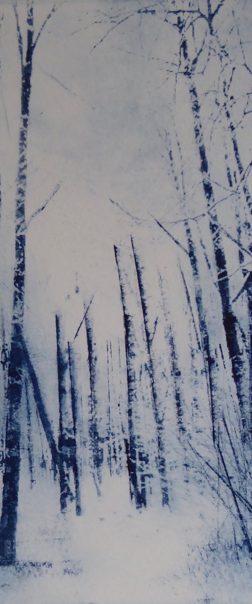 Winter Woods by Sue  Roe