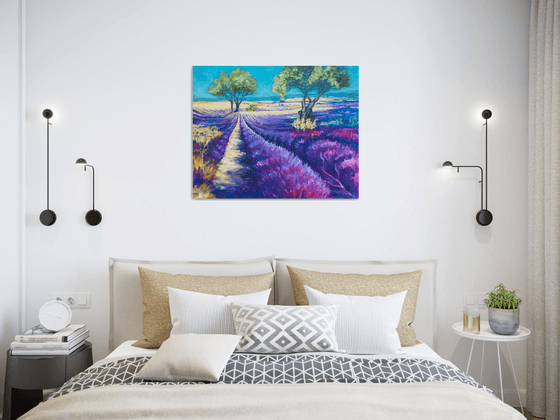 Lavender fields