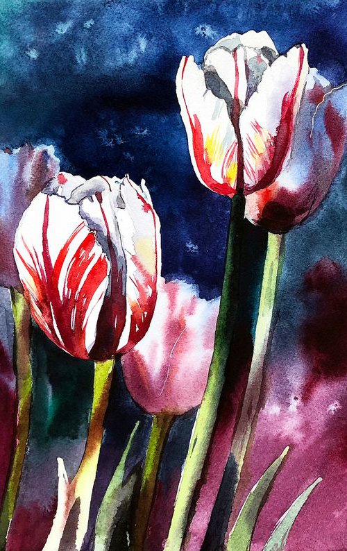 Tulips from Morges by Ksenia Astakhova