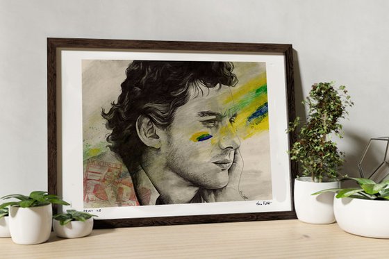 Rei do Brasil: Tribute to Ayrton Senna