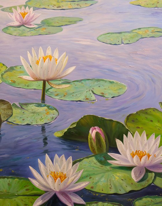 Water Lilies