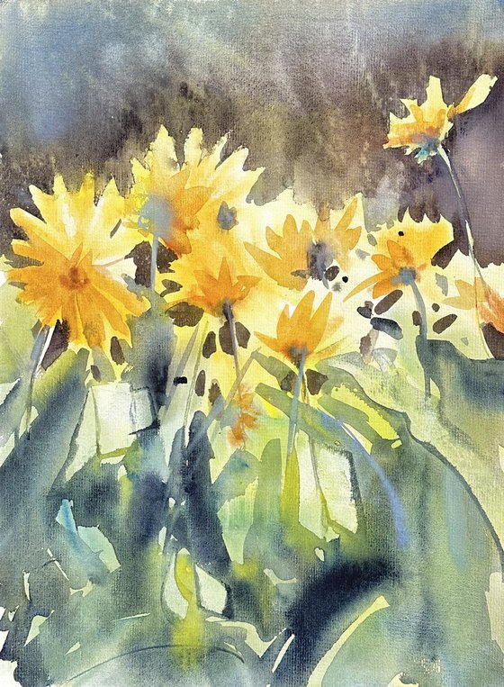 okanagan sunflowers 3